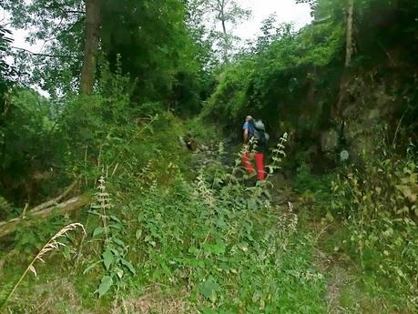 Brañacaballo-Estorbín de Valverde (desde Casomera)