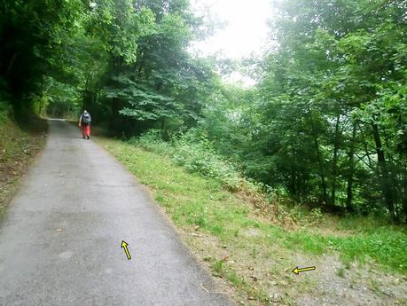 Brañacaballo-Estorbín de Valverde (desde Casomera)