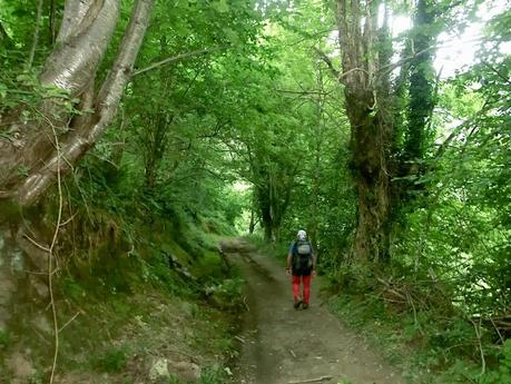 Brañacaballo-Estorbín de Valverde (desde Casomera)