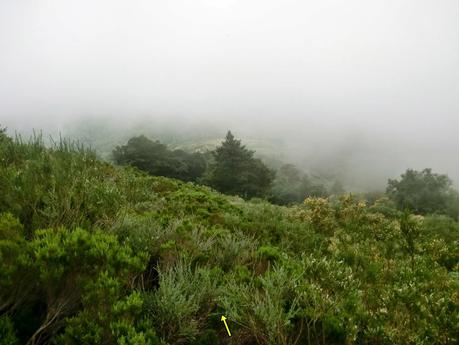 Brañacaballo-Estorbín de Valverde (desde Casomera)