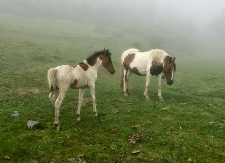 Brañacaballo-Estorbín de Valverde (desde Casomera)