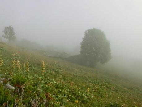 Brañacaballo-Estorbín de Valverde (desde Casomera)