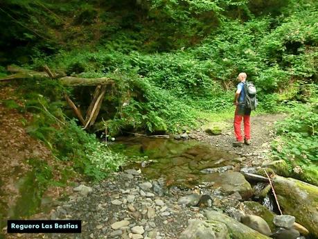 Brañacaballo-Estorbín de Valverde (desde Casomera)