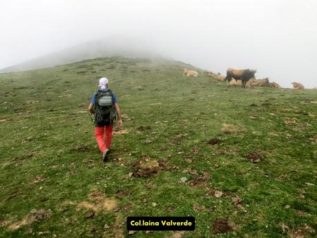 Brañacaballo-Estorbín de Valverde (desde Casomera)