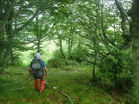 Brañacaballo-Estorbín de Valverde (desde Casomera)