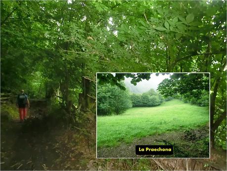 Brañacaballo-Estorbín de Valverde (desde Casomera)