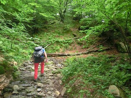Brañacaballo-Estorbín de Valverde (desde Casomera)