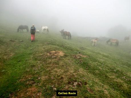 Brañacaballo-Estorbín de Valverde (desde Casomera)