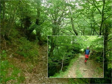 Brañacaballo-Estorbín de Valverde (desde Casomera)