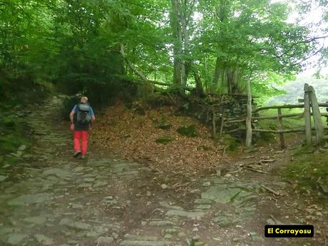Brañacaballo-Estorbín de Valverde (desde Casomera)