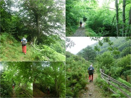 Brañacaballo-Estorbín de Valverde (desde Casomera)