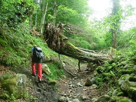 Brañacaballo-Estorbín de Valverde (desde Casomera)