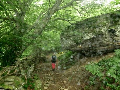 Brañacaballo-Estorbín de Valverde (desde Casomera)