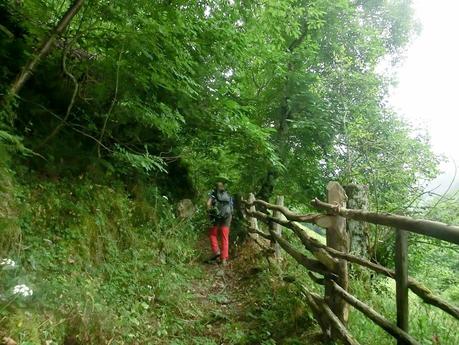 Brañacaballo-Estorbín de Valverde (desde Casomera)