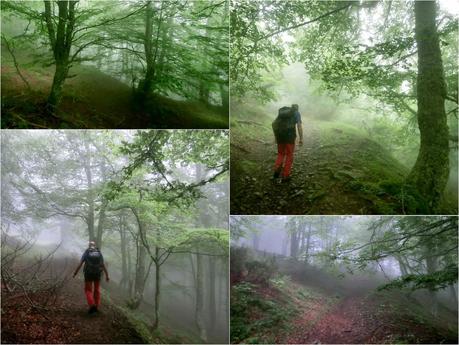 Brañacaballo-Estorbín de Valverde (desde Casomera)