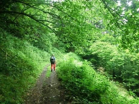 Brañacaballo-Estorbín de Valverde (desde Casomera)