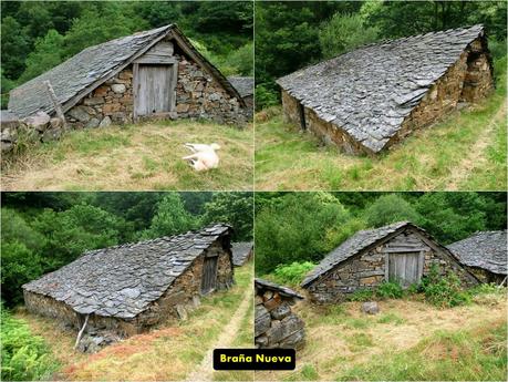 Cervero o Tunón-Peñas Altas-Cogollo