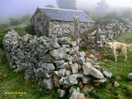 Cervero o Tunón-Peñas Altas-Cogollo