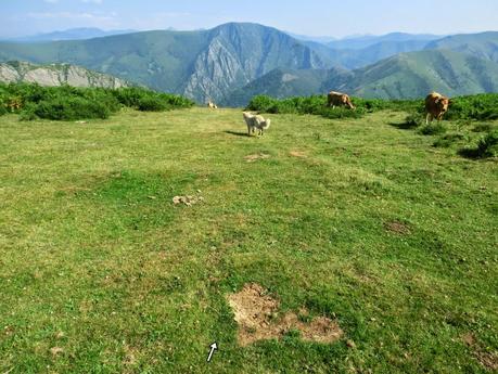 Cervero o Tunón-Peñas Altas-Cogollo