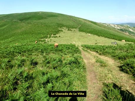 Cervero o Tunón-Peñas Altas-Cogollo