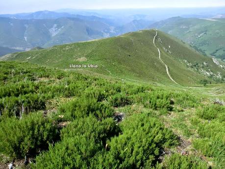 Cervero o Tunón-Peñas Altas-Cogollo