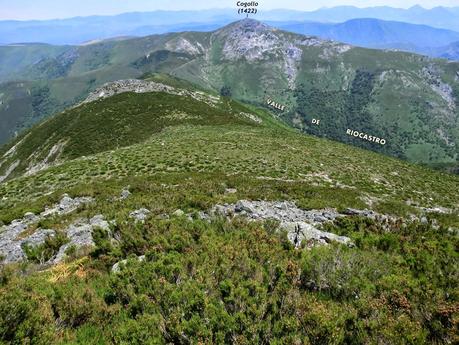 Cervero o Tunón-Peñas Altas-Cogollo