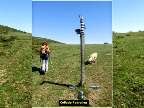 Cervero o Tunón-Peñas Altas-Cogollo