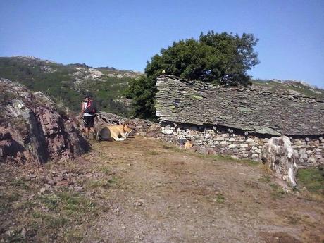 Cervero o Tunón-Peñas Altas-Cogollo