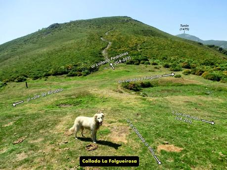 Cervero o Tunón-Peñas Altas-Cogollo