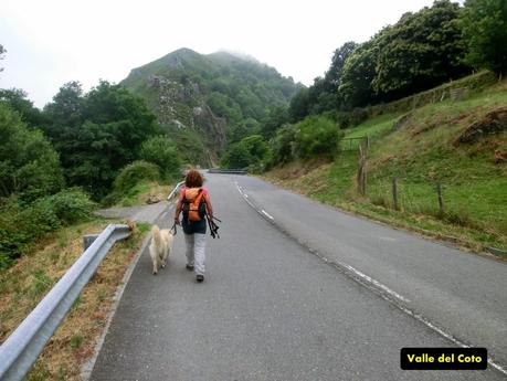 Cervero o Tunón-Peñas Altas-Cogollo