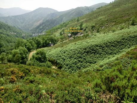 Cervero o Tunón-Peñas Altas-Cogollo