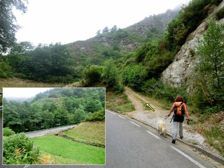 Cervero o Tunón-Peñas Altas-Cogollo