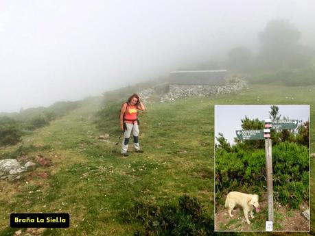 Cervero o Tunón-Peñas Altas-Cogollo