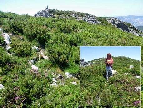 Cervero o Tunón-Peñas Altas-Cogollo