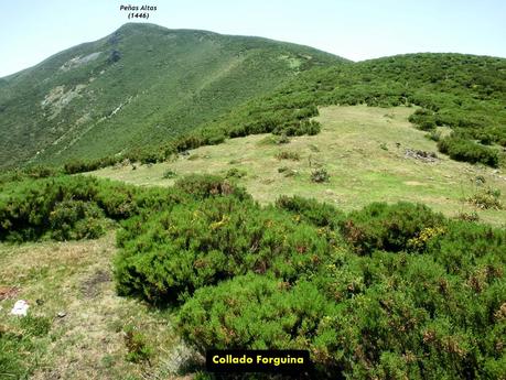 Cervero o Tunón-Peñas Altas-Cogollo