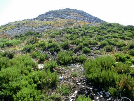 Cervero o Tunón-Peñas Altas-Cogollo