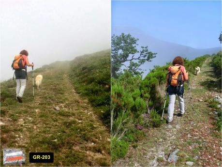 Cervero o Tunón-Peñas Altas-Cogollo