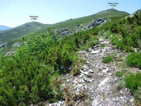 Cervero o Tunón-Peñas Altas-Cogollo