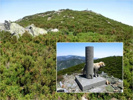 Cervero o Tunón-Peñas Altas-Cogollo