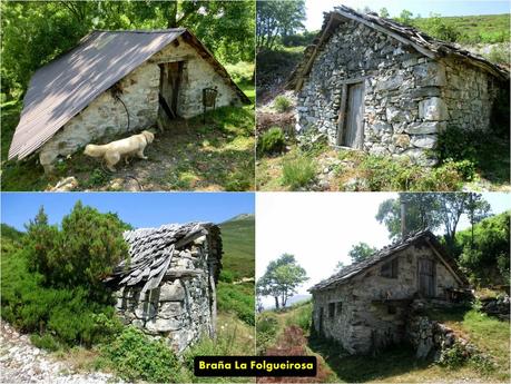 Cervero o Tunón-Peñas Altas-Cogollo