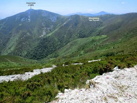 Panchón-Cazarnosa