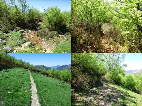 Sierra del Ajo (del Fuentes al Toneo)