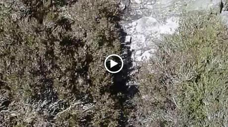 Sierra del Ajo (del Fuentes al Toneo)