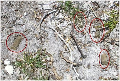 Sierra del Ajo (del Fuentes al Toneo)