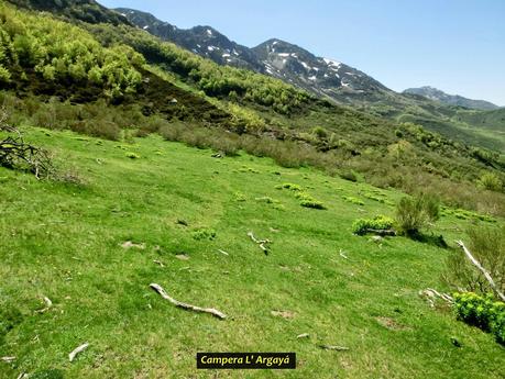 Sierra del Ajo (del Fuentes al Toneo)