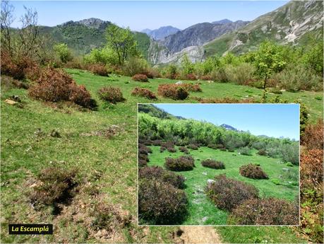 Sierra del Ajo (del Fuentes al Toneo)