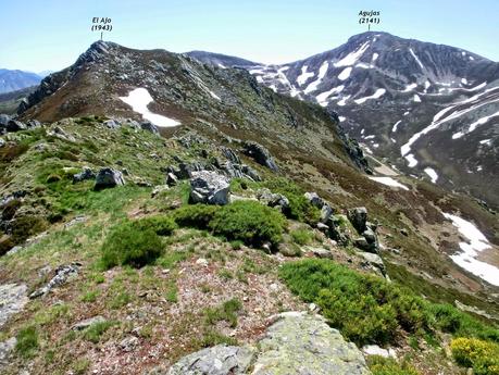 Sierra del Ajo (del Fuentes al Toneo)