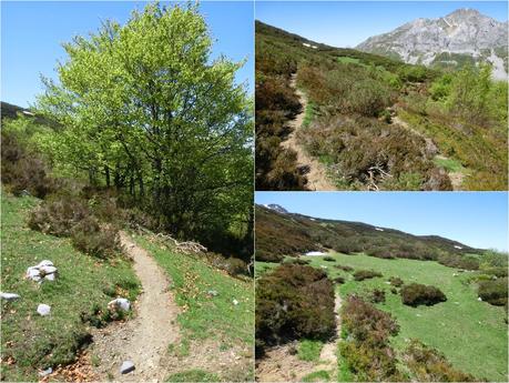 Sierra del Ajo (del Fuentes al Toneo)