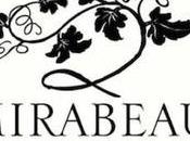 Mirabeau Wine, cómo bodega vinos genera contenidos exitosos