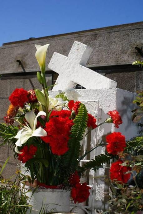 Luis Roco Cementerio 4